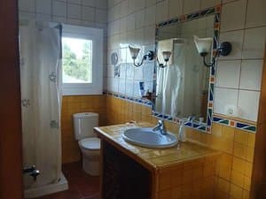 Baño con ducha y lavabo sobre mueble