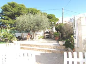 Jardín con olivo y barbacoa al fondo