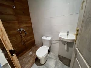 Baño con ducha, inodoro y lavabo