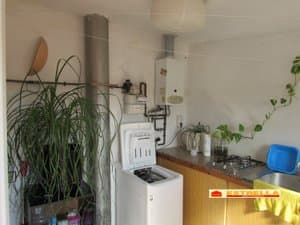 Cocina con lavadora y plantas