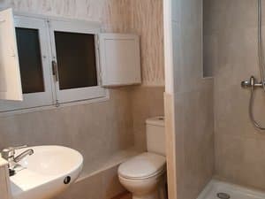 Baño con lavabo, inodoro y ducha
