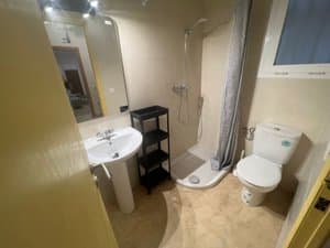 Baño con ducha, lavabo e inodoro
