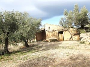 Casa de campo de piedra entre olivos