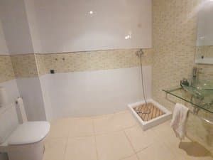Baño con ducha y lavabo de cristal