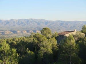 Vistas a la sierra sobre el pinar