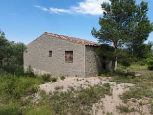 Casa de campo junto a un pino