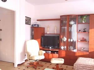 Salón con butaca y mueble de madera