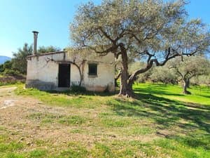 Caseta de campo con puerta y ventana verde