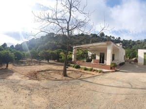 Casa con porche entre naranjos