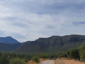 Vistas a las montañas desde la finca