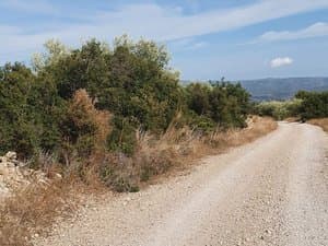 Camino de tierra junto a la finca