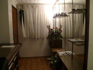 Recibidor con mueble y plantas