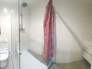 Baño con inodoro y ducha