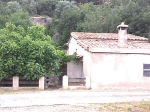 Casa de campo con higuera y valla junto al camino