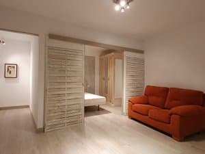 Salón con sofá y zona de dormitorio al fondo