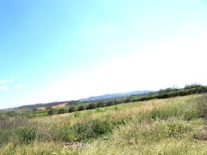 Terreno de la finca con montañas al fondo