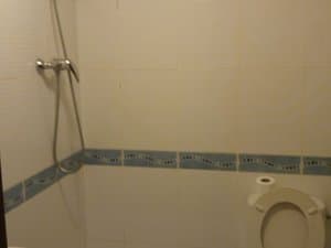 Baño con ducha e inodoro