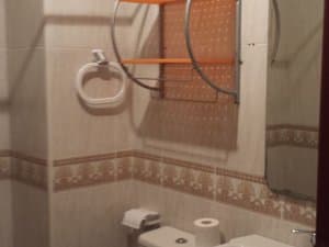 Baño alicatado con cenefa decorativa