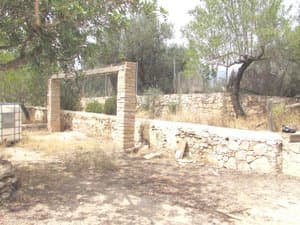 Terreno con muros de piedra y olivos