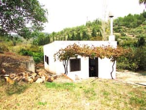 Fachada con parra y montañas al fondo