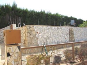 Muro de la piscina y seto de cipreses