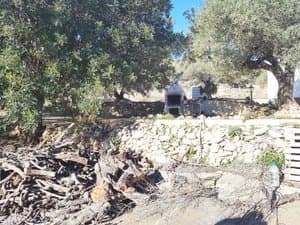 Zona de barbacoa entre olivos