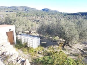 Caseta y depósito entre olivos con montañas al fondo