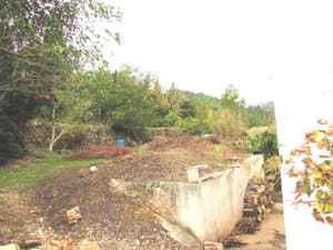Terreno con muro y vegetación