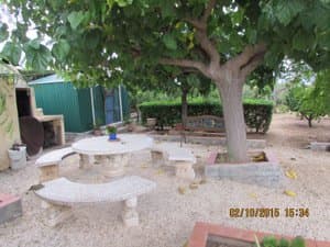 Zona de estar con mesa y bancos de piedra bajo un árbol
