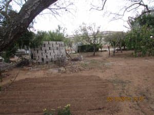Huerto con tierra labrada