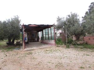 Construcción auxiliar entre olivos