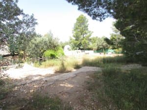 Terreno con caminos y árboles