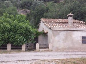 Casa de campo con higuera y valla junto al camino