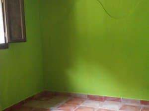 Estancia verde con ventana