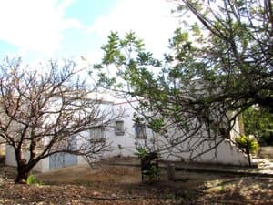 Lateral de la casa con árboles