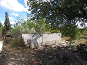 Balsa de obra junto a los árboles