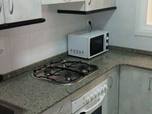 Cocina con placa de gas y microondas