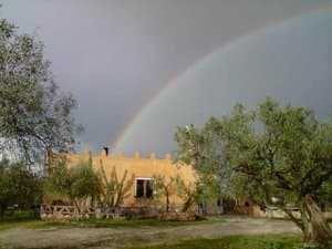 Casa entre olivos con arco iris