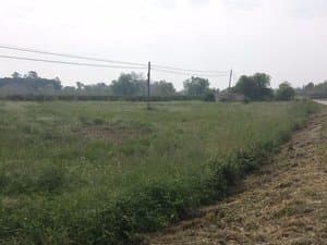 Terreno llano con hierba junto a un camino