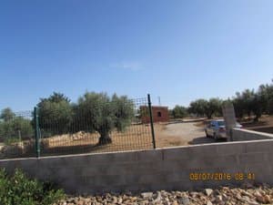 Muro de bloque con valla y olivos